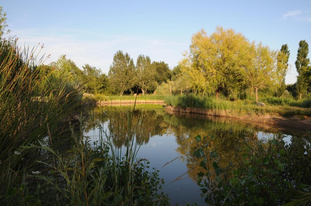 Domaine De La Begude Hotel Fayence Bilik gambar